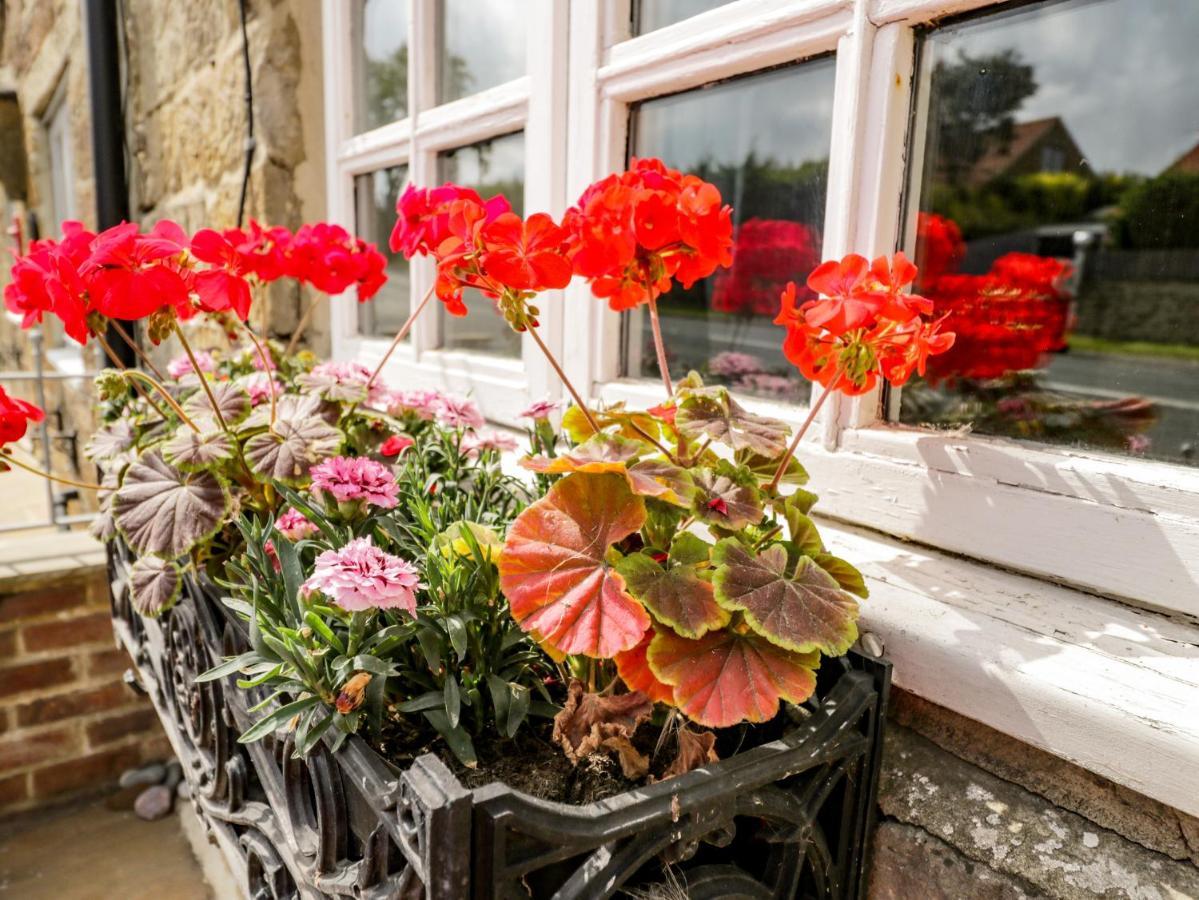 Raygill Cottage Whitby Ngoại thất bức ảnh